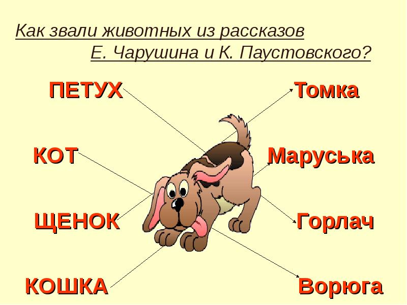 Составить план к рассказу кот ворюга паустовский