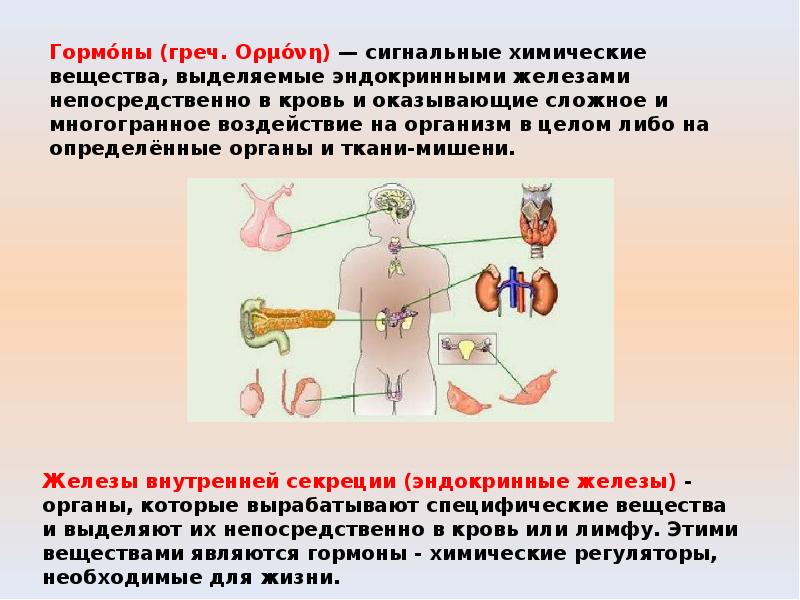 Нервная система рефлекс инстинкт органы чувств регуляция деятельности организма презентация 7 класс