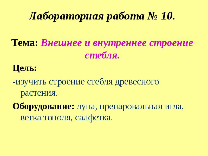 Лабораторная работа строение стебля