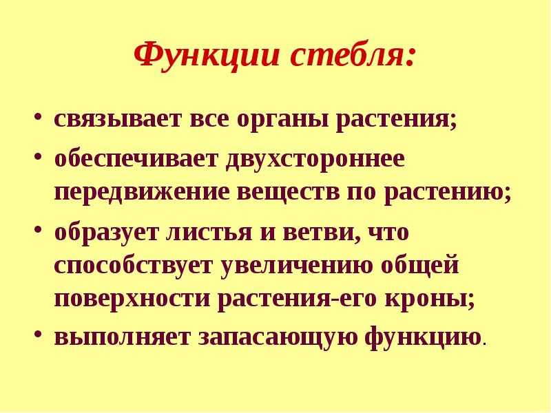 Какой функции стебля