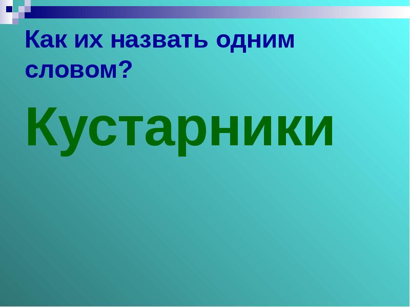 Слово куст 1 класс. Форма слово к слову куст. Назови похожие слова куст. Как по другому можно назвать слово куст.