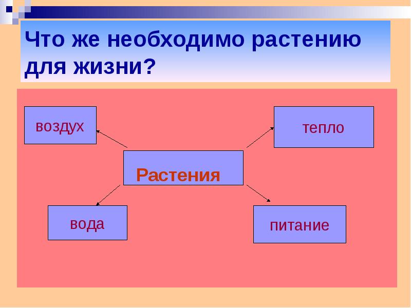 Растениям для жизни необходимы воздух