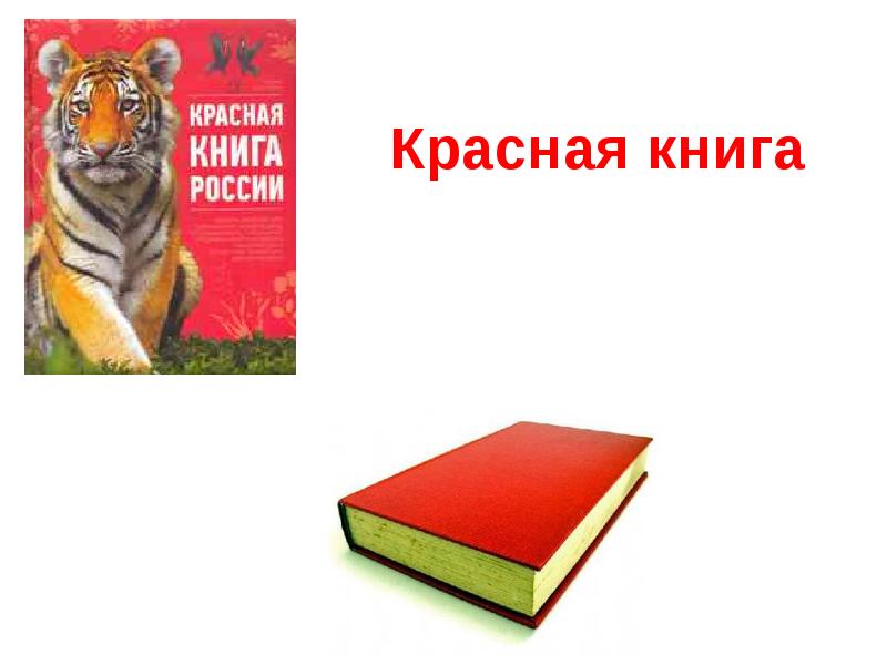 Красная книга картинки для презентации