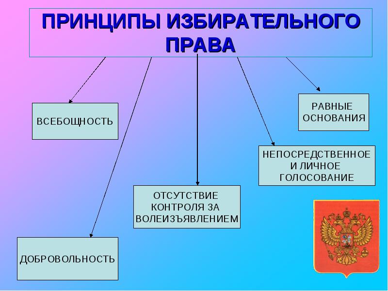 Муниципальные выборы презентация