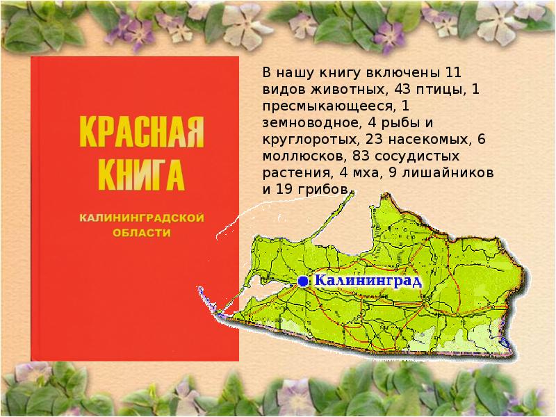 Красная книга область. Красная книга Калининградской области. Красная книга Калининградской области животные и растения. Животные красной книги Калининградской области. Животные Калининградской области занесенные в красную книгу.