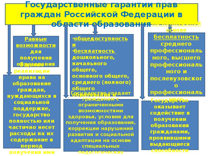 Государственные гарантии в получении образования презентация