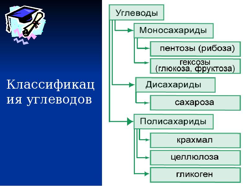 Углеводы их классификация презентация