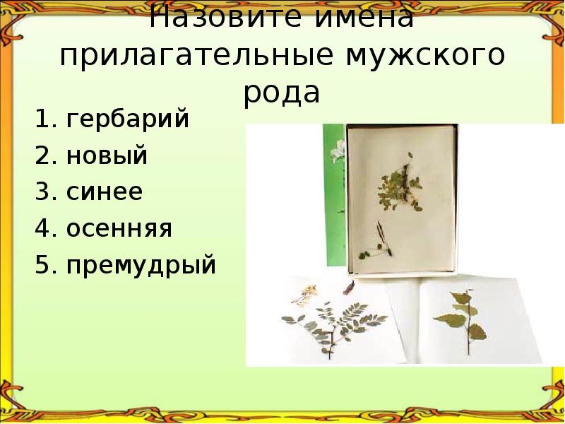 В каком слове есть нулевое окончание молода гербарий зверобой одежды рисует