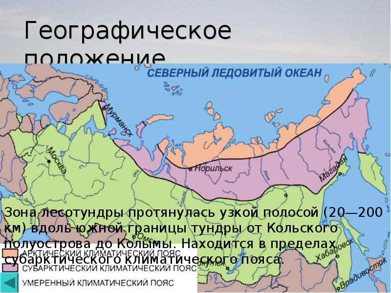 Положение северного ледовитого. Географическое положение лесотундры в России на карте. Тундра географическое положение в России на карте. Зона лесотундры в России географическое положение. Лесотундра географическое положение.