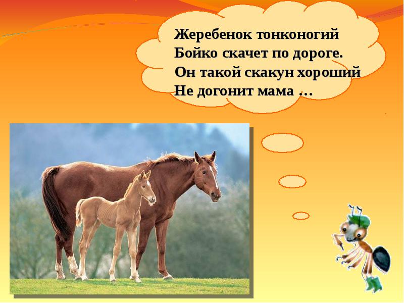 у коровы теленок у лошади жеребенок. клички животных жеребенок. как назвать лошадь. жеребенок женского пола. детеныш лошади как называется.