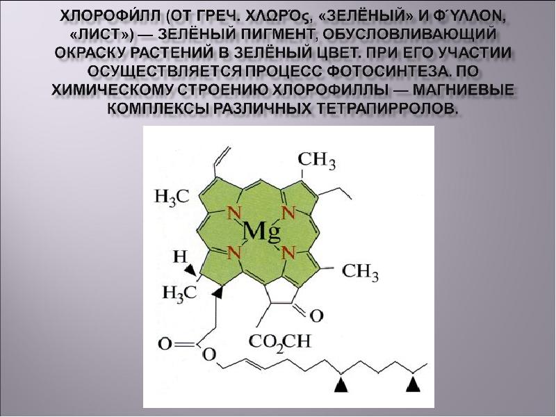 Хлорофилл химический состав. Химическое строение хлорофилла. Пигмент хлорофилл. Хлорофилл- макроциклический комплекс. Хлорофилл зеленый пигмент.