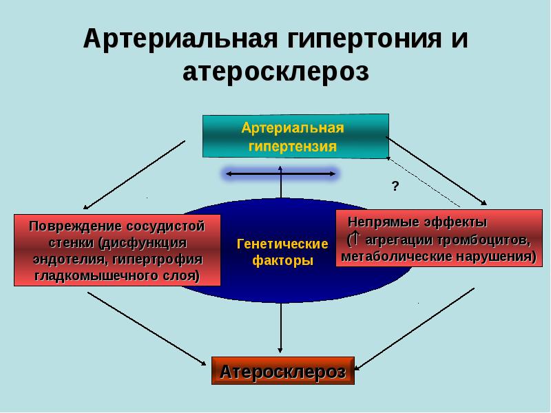 Атеросклероз презентация госпитальная терапия