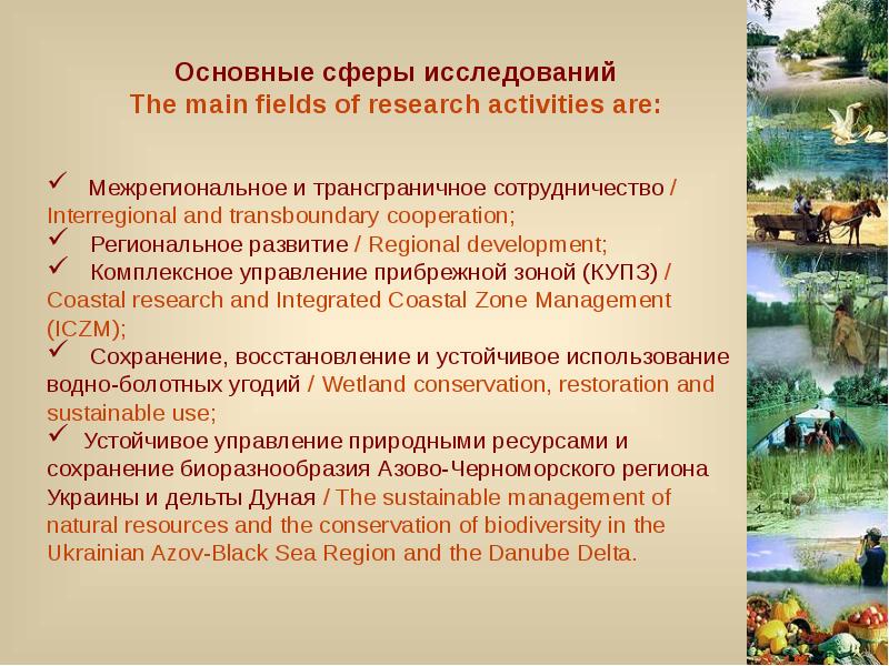 Сфера изучения истории