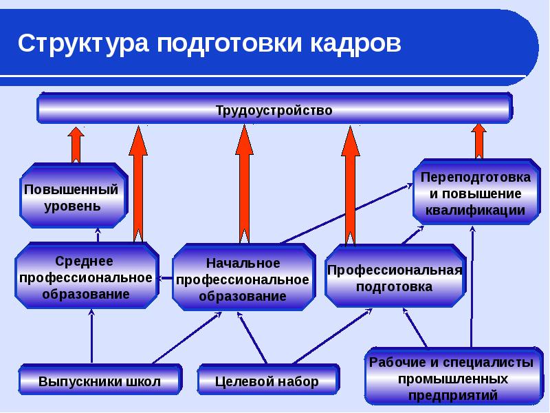 Организация подготовки кадров. Структура профессиональной подготовки. Система подготовки и переподготовки кадров. Особенности профессиональной подготовки кадров. Образование и профессиональная подготовка кадров.