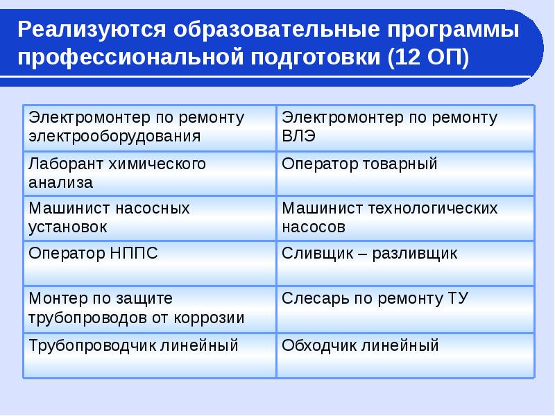 Программа профессиональной подготовки