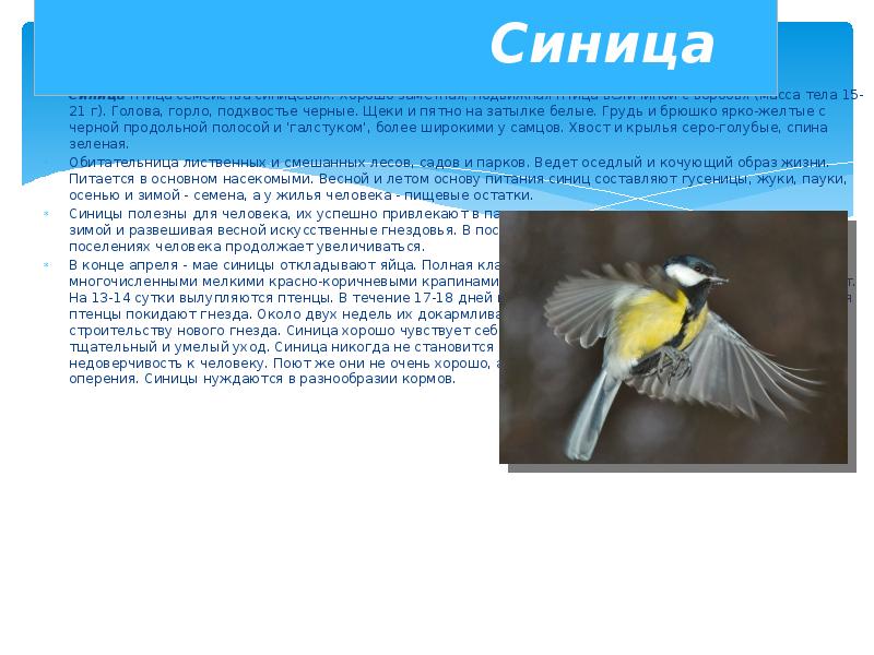Птицы Саратовской Области Фото С Названиями