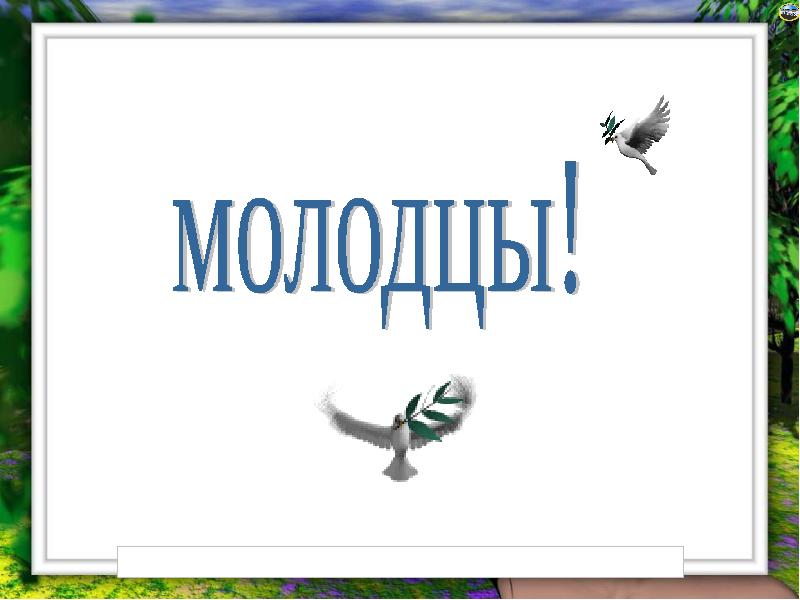 Биология 9 класс повторение презентация