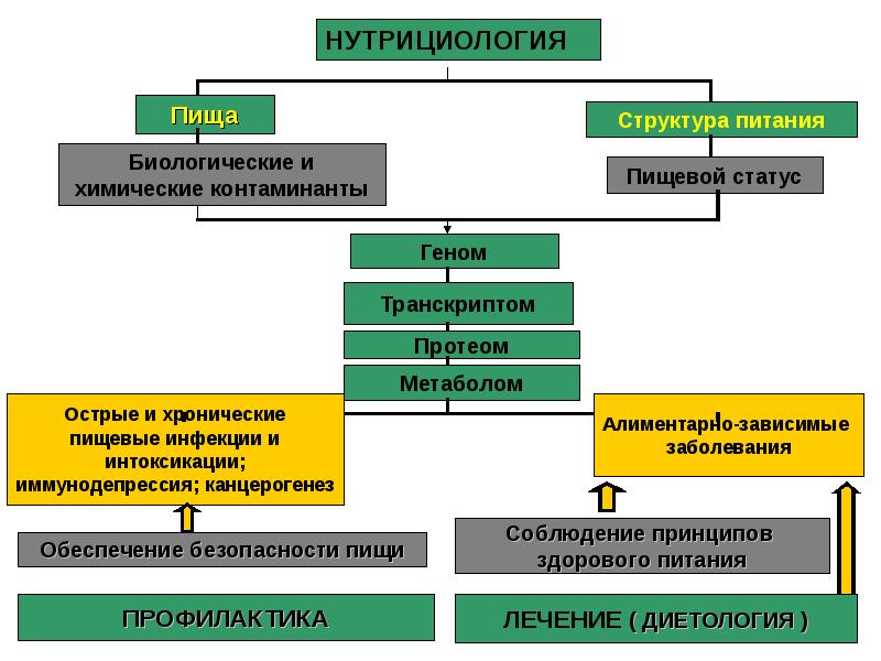 Структура питания. Нутрициология презентация. Принципы питания по нутрициологии. Нутрициология правильное питание презентация. Протоколы питания нутрициология.