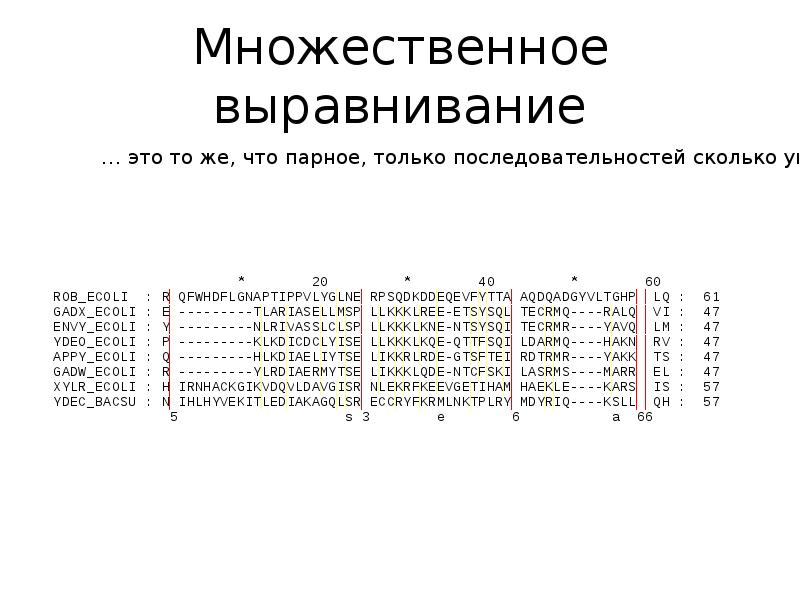 Множественное выравнивание