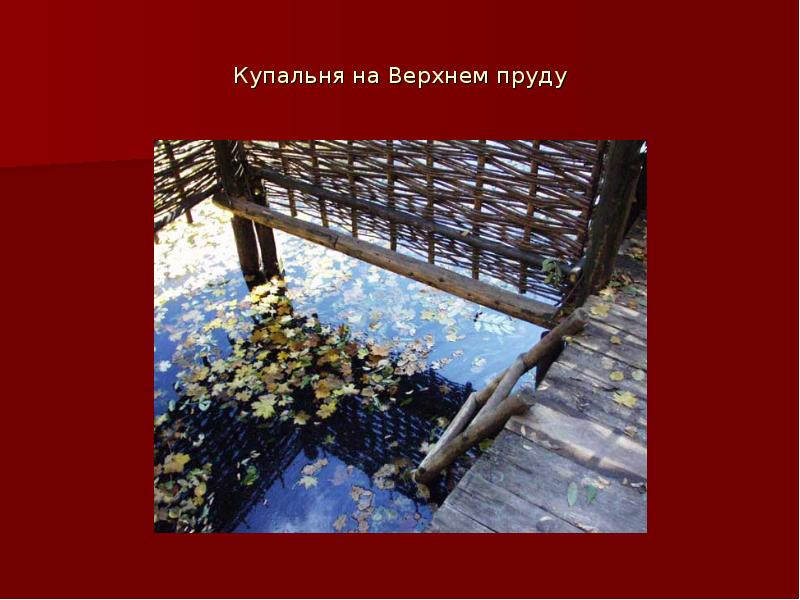 Крещение традиции. Заброшенная купальня. Молитва для купания в святом источнике. Купальня слова. Купание медвежат бианки.