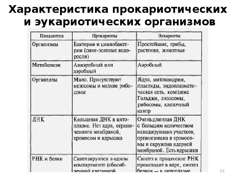 Общий план строения прокариотической и эукариотической клетки