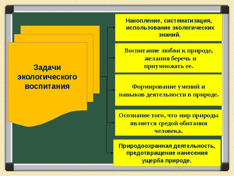 Применение экологических знаний в практической деятельности человека презентация