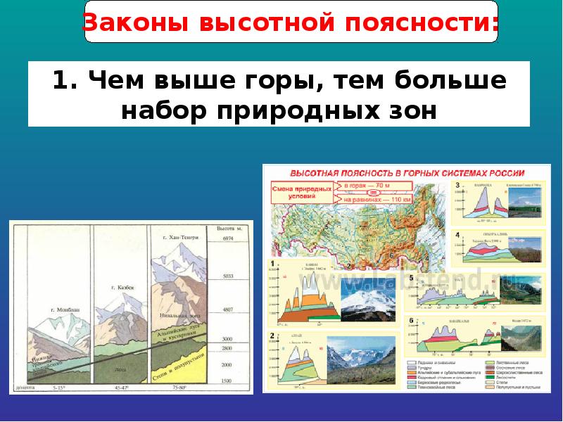 География 8 класс высотная поясность презентация 8 класс география