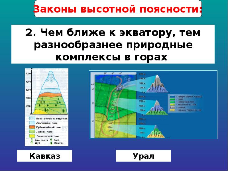 Высотная поясность кавказа презентация