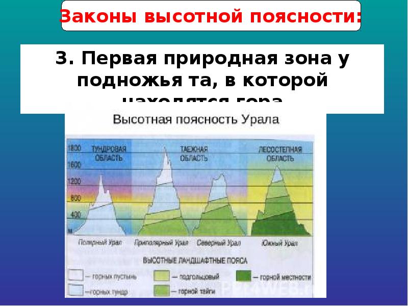 Высотная поясность камчатки схема