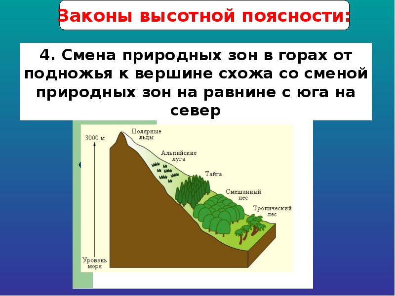 Высотная поясность умеренные широты расставьте подписи на изображении