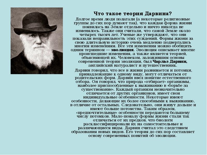 Долгое время люди. Гипотеза Дарвина. Дарвин и его теория. Дарвин и его теория эволюции. Теория эволюции Дарвина кратко.