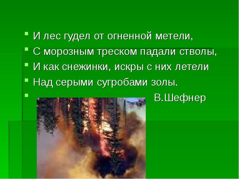 Изложение 4 класс лесной пожар презентация