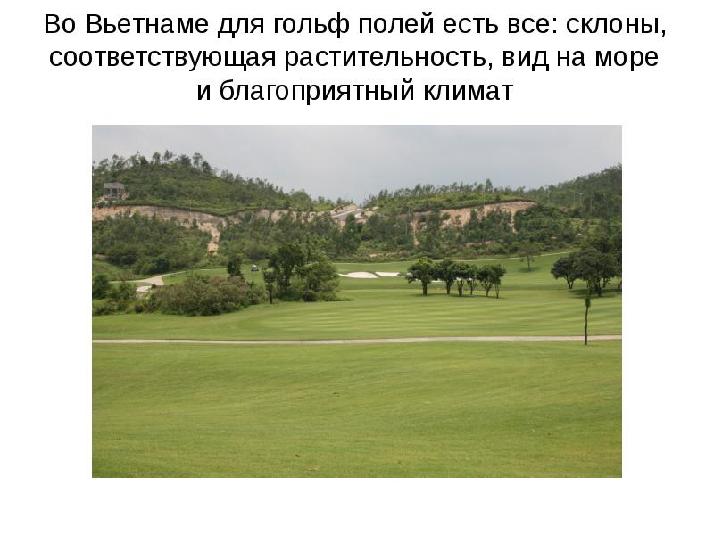 Есть поле и есть поле. Есть поле и есть поле