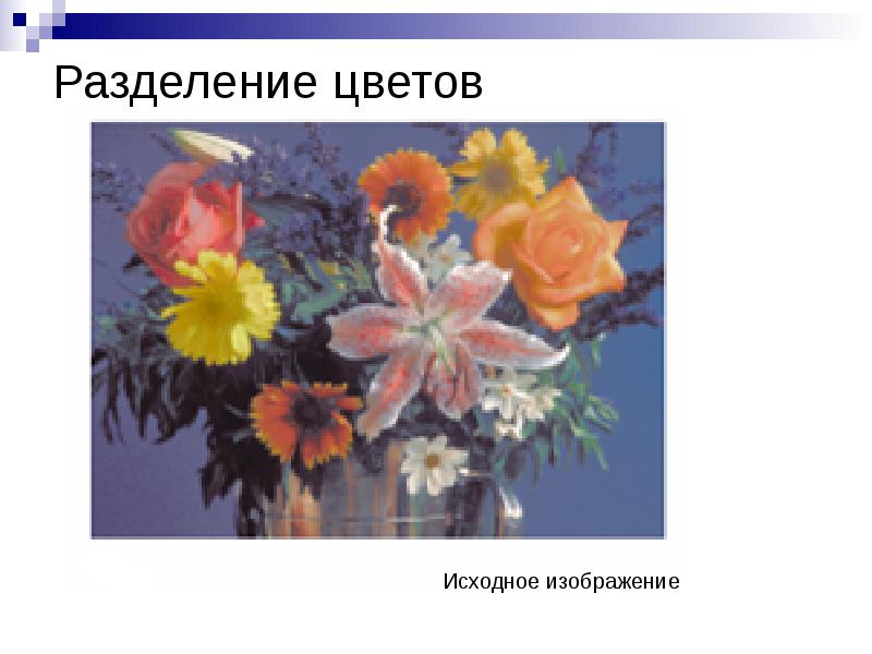 Тема светы. Разделение цветов. Цветок понимания. Разделение цветов на категории. Разделение цветов на мужские и женские.