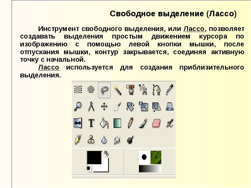 Перечислите инструменты для выделения области изображения