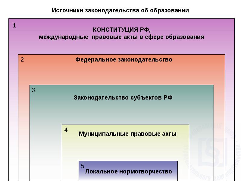 Образовательное право схема