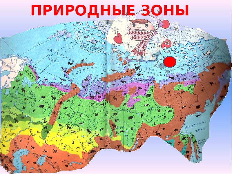 Проект природные зоны мира 6 класс