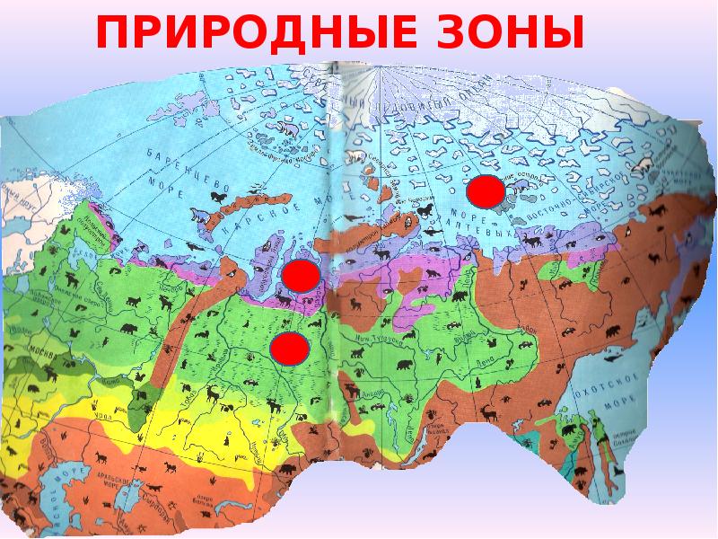 Презентация по природным зонам