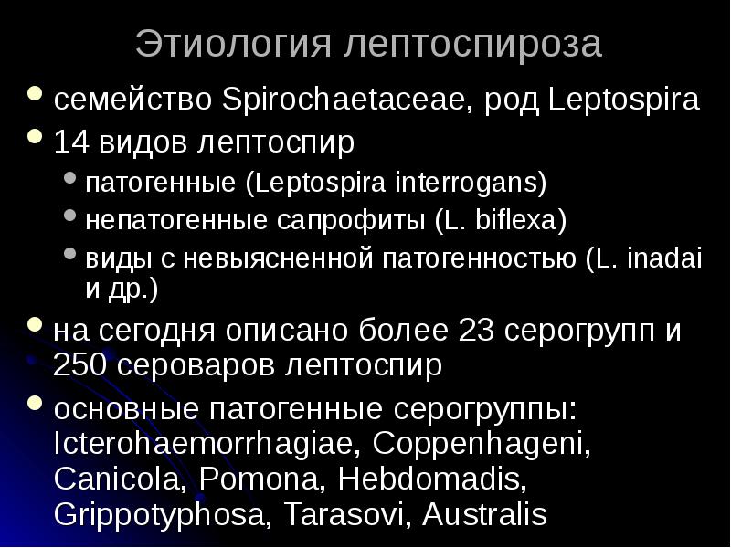 Признаки лептоспироза