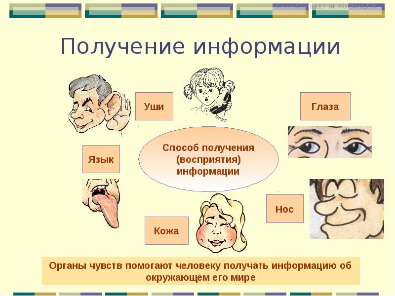 Что такое информация для человека презентация