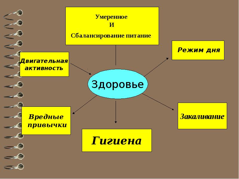 Наше здоровье презентация