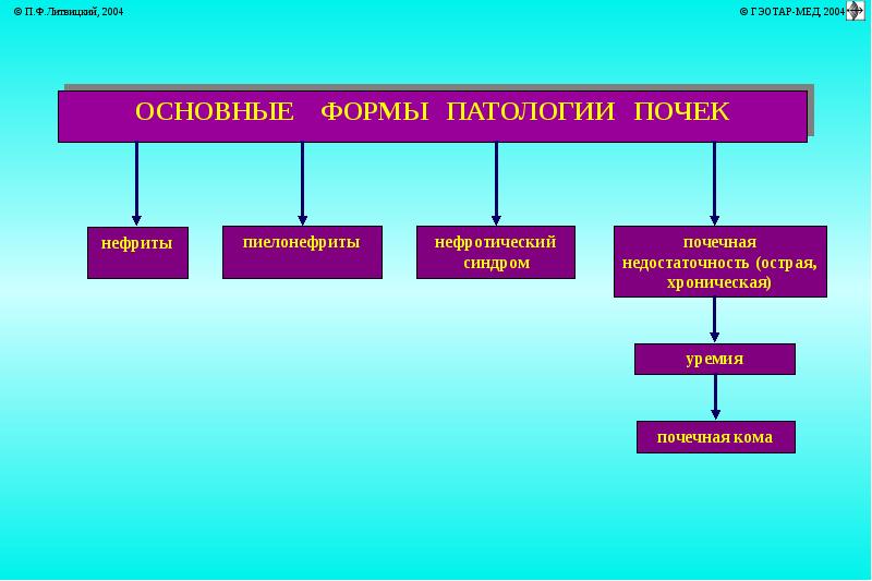 Пиелонефрит презентация патофизиология