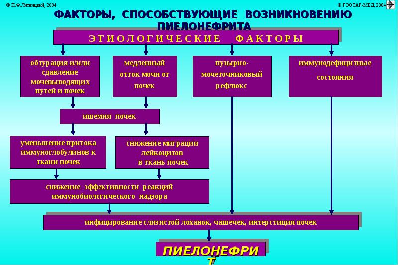 Пиелонефрит презентация патофизиология