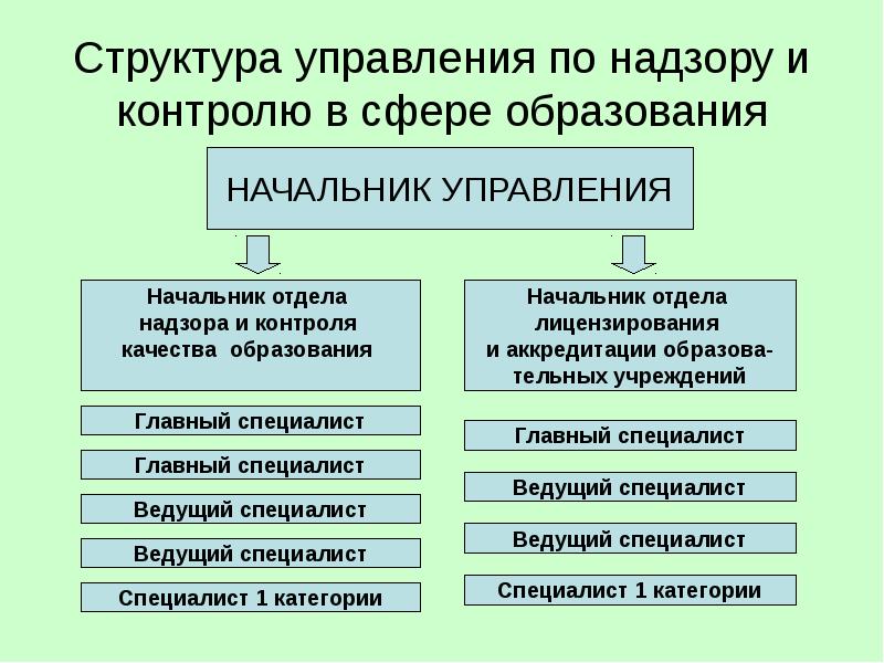 Государственный контроль надзор в сфере образования презентация