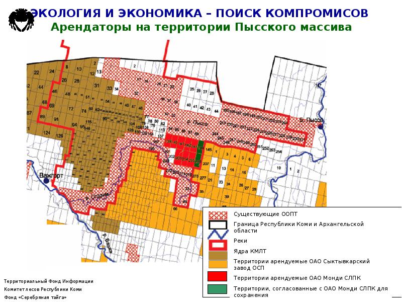 Срок действия проекта освоения лесов на арендованных участках лесного фонда