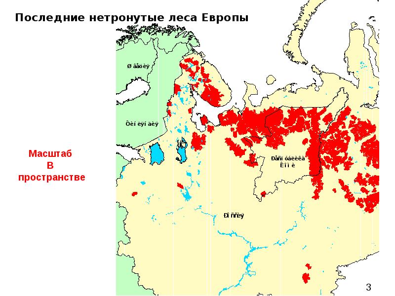 Карта лесов европы