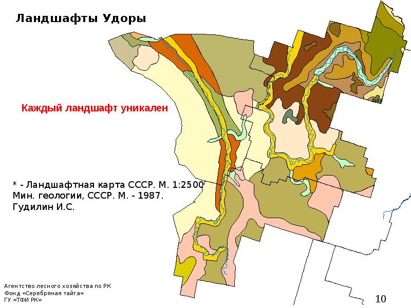 Ландшафтная карта. Ландшафтная карта Гудилин. Ландшафтная карта СССР Гудилин. Ландшафты Челябинской области Ландшафтная карта. Источники Удоры на карте.