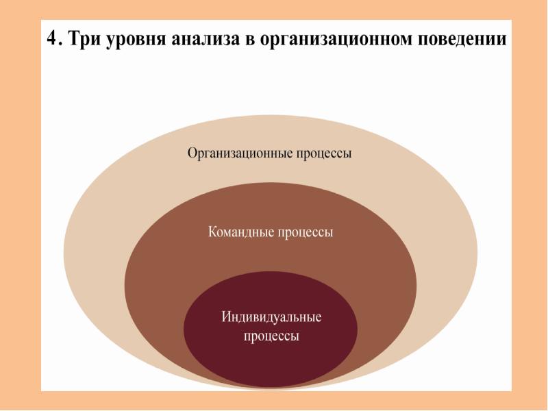 Организационное поведение презентация