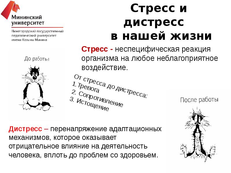 Стресс и дистресс презентация