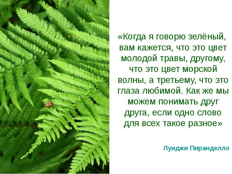 Скажи зеленую. Предложения про зеленую молодую травку. Как по другому можно сказать зеленый. Как говорить на зеленом языке. Говорят, зеленый любят.